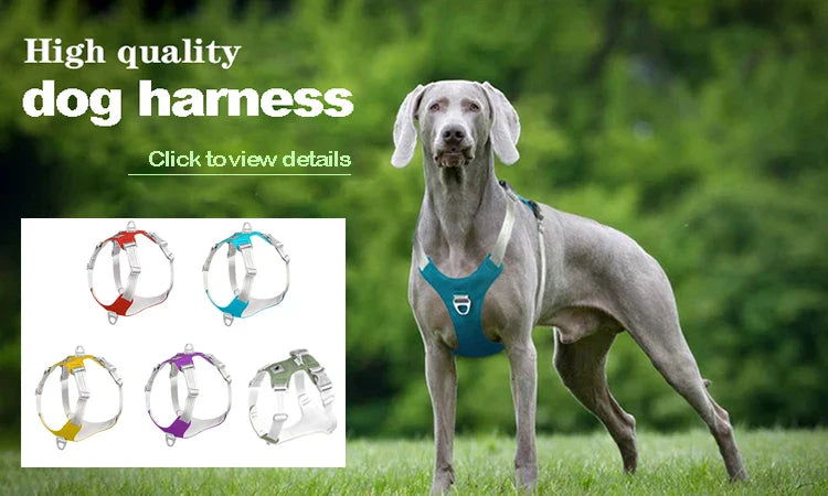 2 - in - 1 Pet Bath Brush – Soft Silicone Dog Cat Grooming & Massage Comb - WTN Essentials