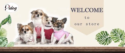Personalized Dog Collar with Bow - Custom Engraved Cuteness