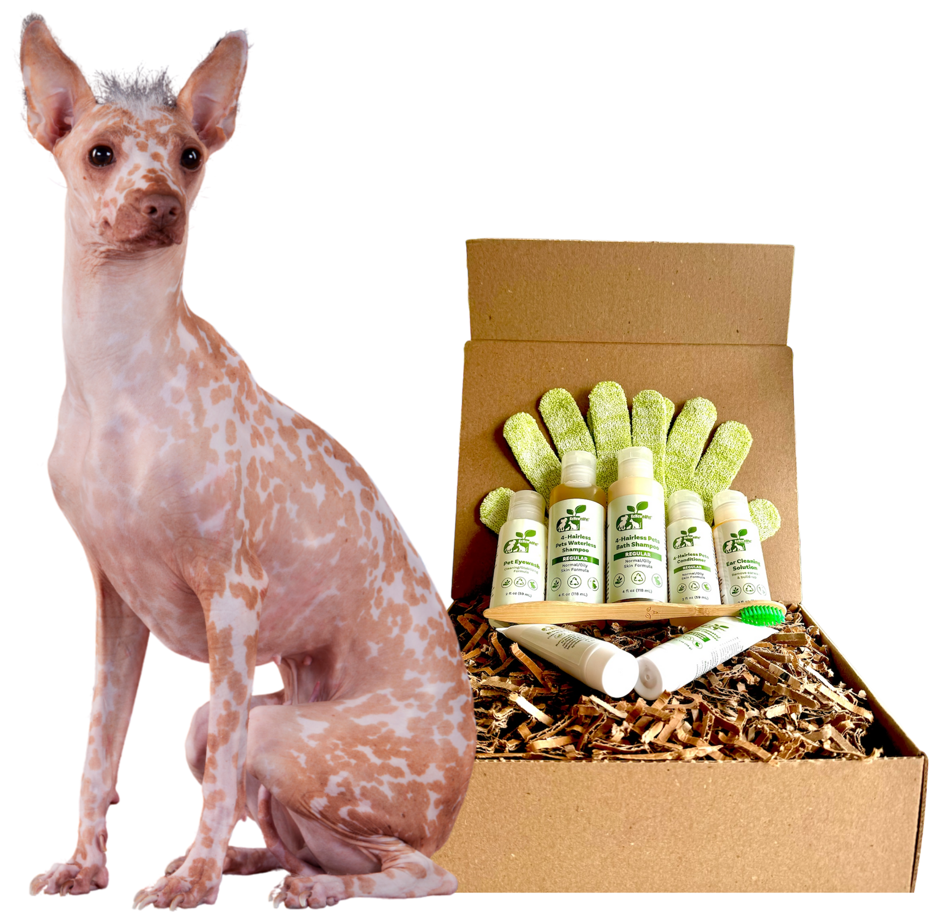 4 - HAIRLESS PETS *DOG REGULAR KIT - 4 Nudie Pets - ReNewedPet
