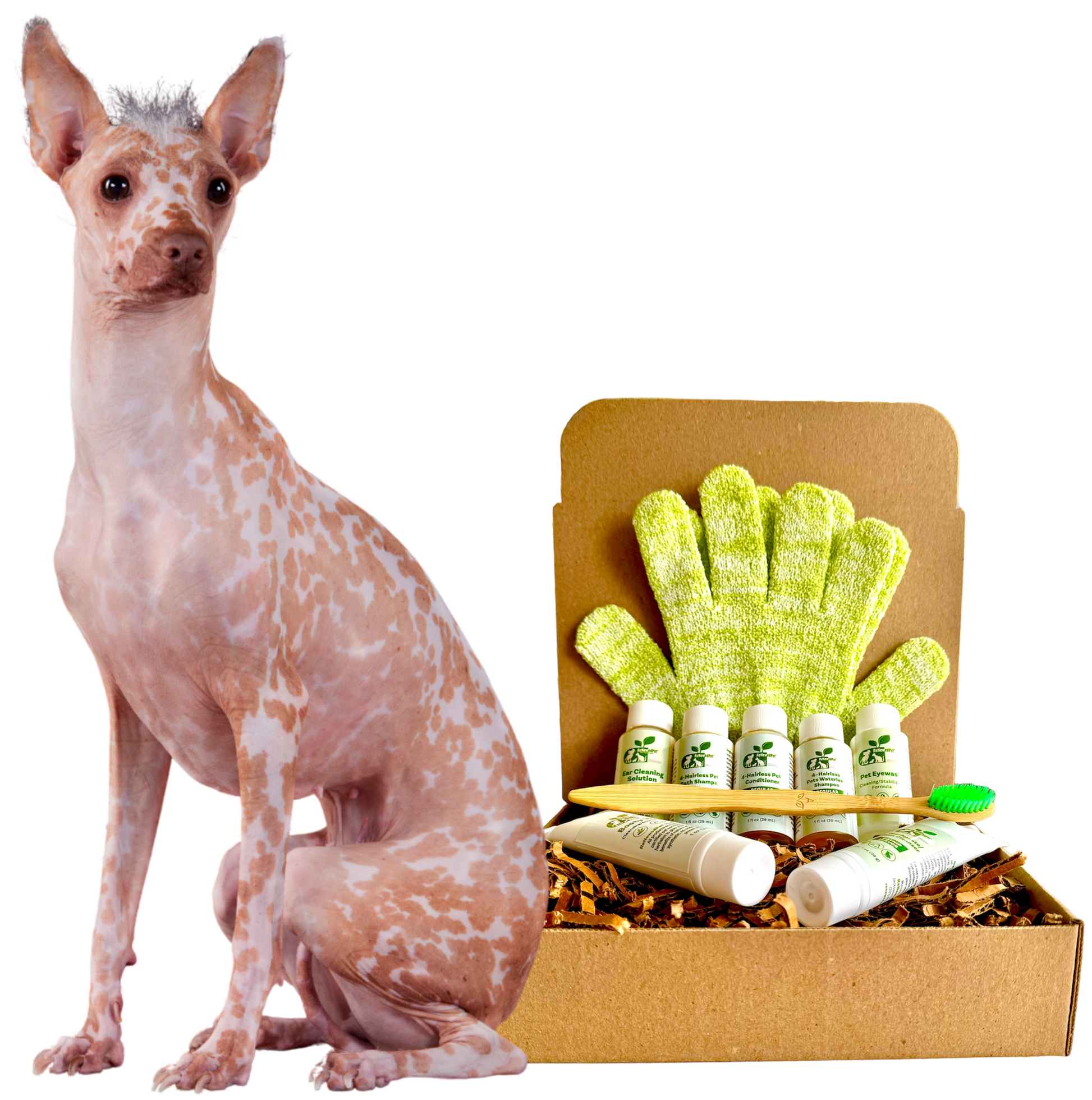 4 - HAIRLESS PETS *DOG REGULAR KIT - 4 Nudie Pets - ReNewedPet - SAMPLE SIZE ($9.92/oz.) - 4HDOGREGSAMPLEKIT
