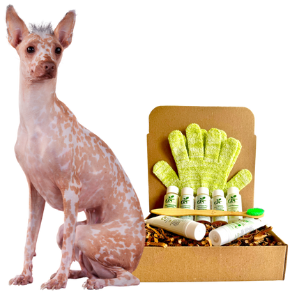 Purrfect Pet Kingdom 6-piece grooming kit with bamboo brush and green glove next to a spotted hairless dog.