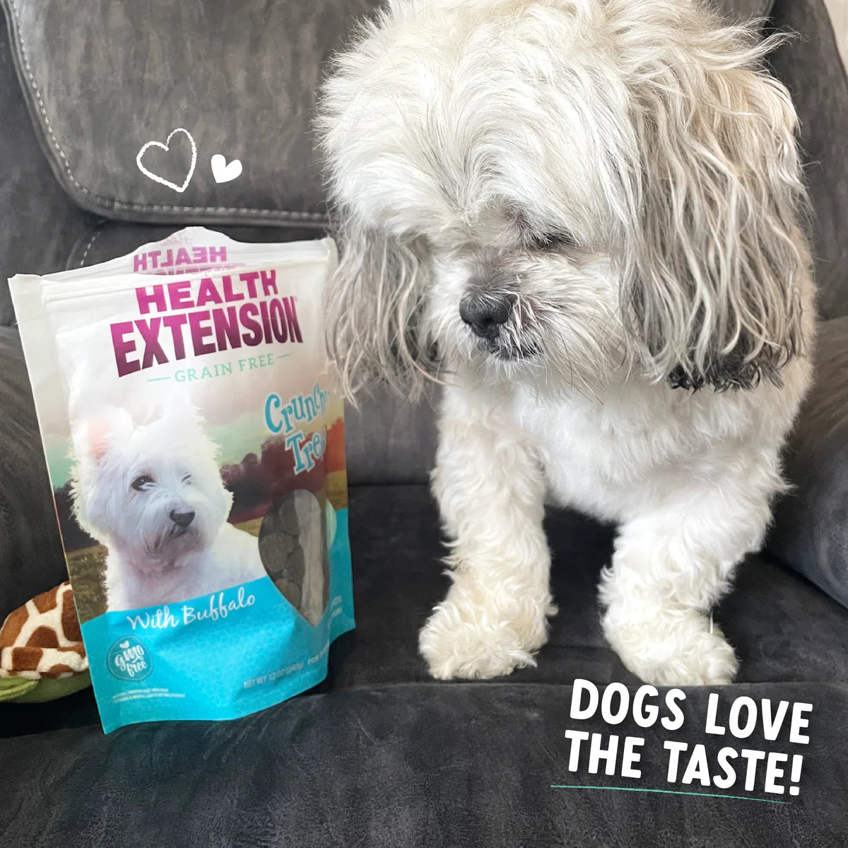Health Extension Crunchy Heart Shaped Buffalo Dog Treats (12oz)