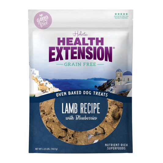 Health Extension Grain Free Lamb & Blueberry Dog Treat (6oz)