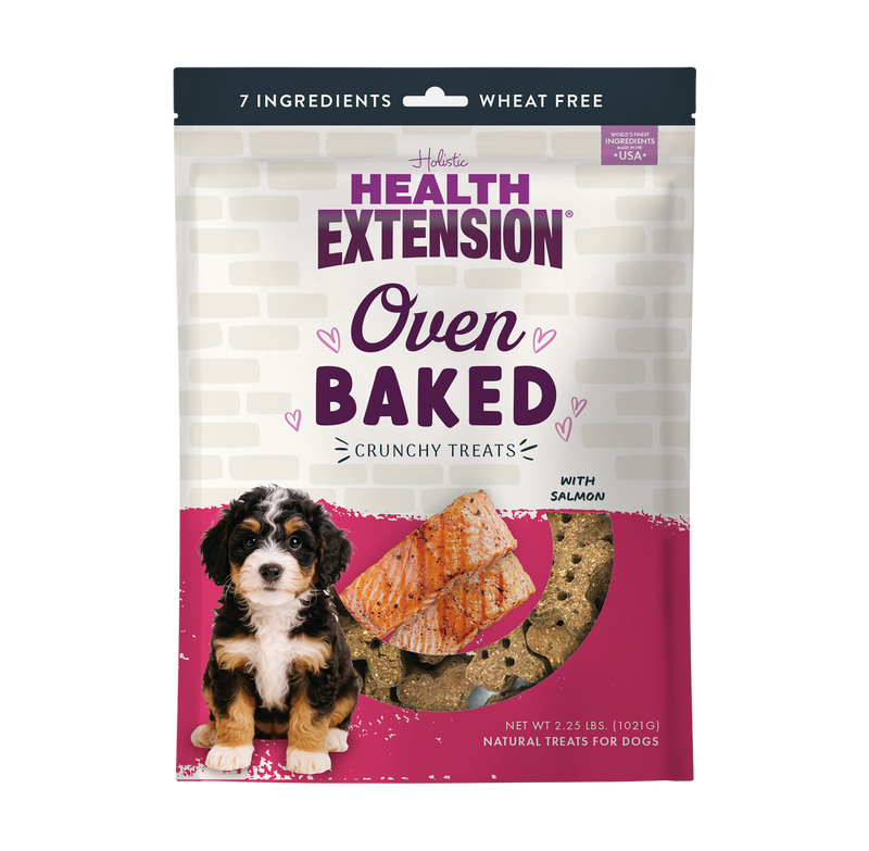Oven Baked Salmon Treats