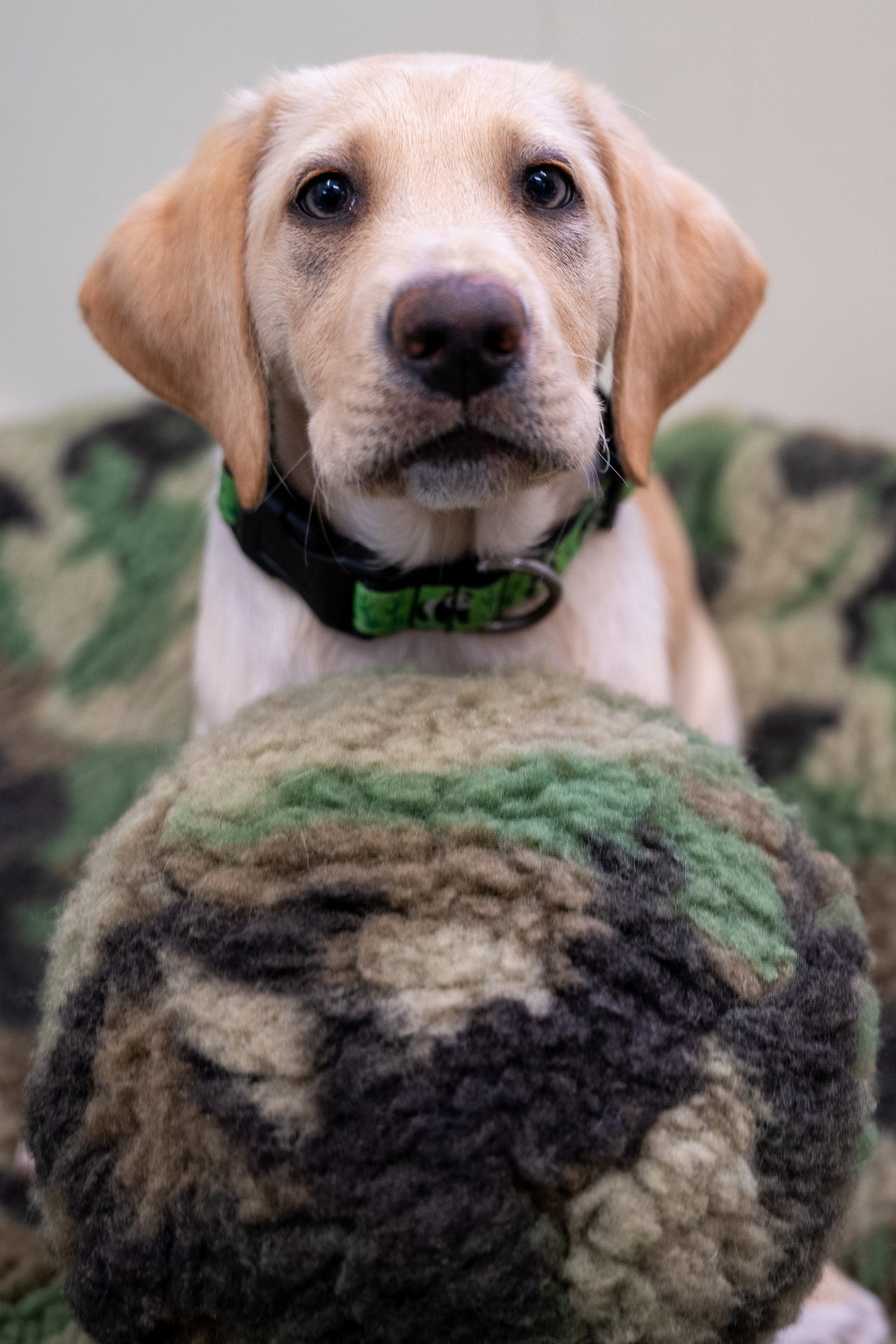 Dog Toy HuggleCause Warrior Canine Connection Camouflage - lifestyle product image for dog toy