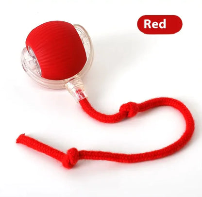 Purrfect Pet Kingdom Interactive Cat Toy Ball Super Drive Cat Rolling Balls With (With Rope Style Red) - Premium Cat Toys