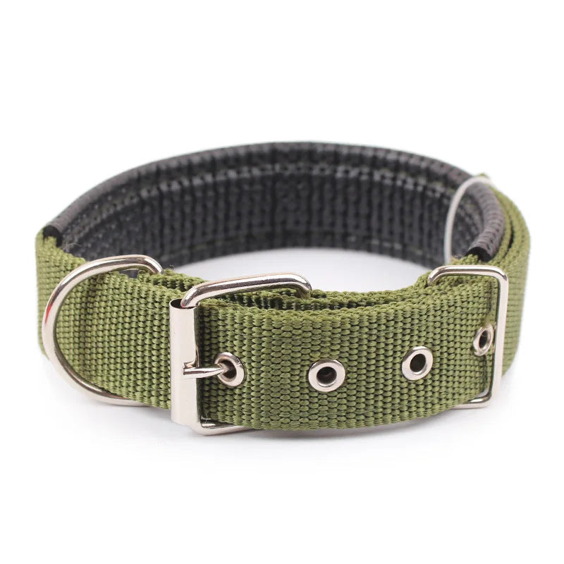 Solid Nylon Dog Collar – Strong & Durable for All Dog Sizes - WTN Essentials