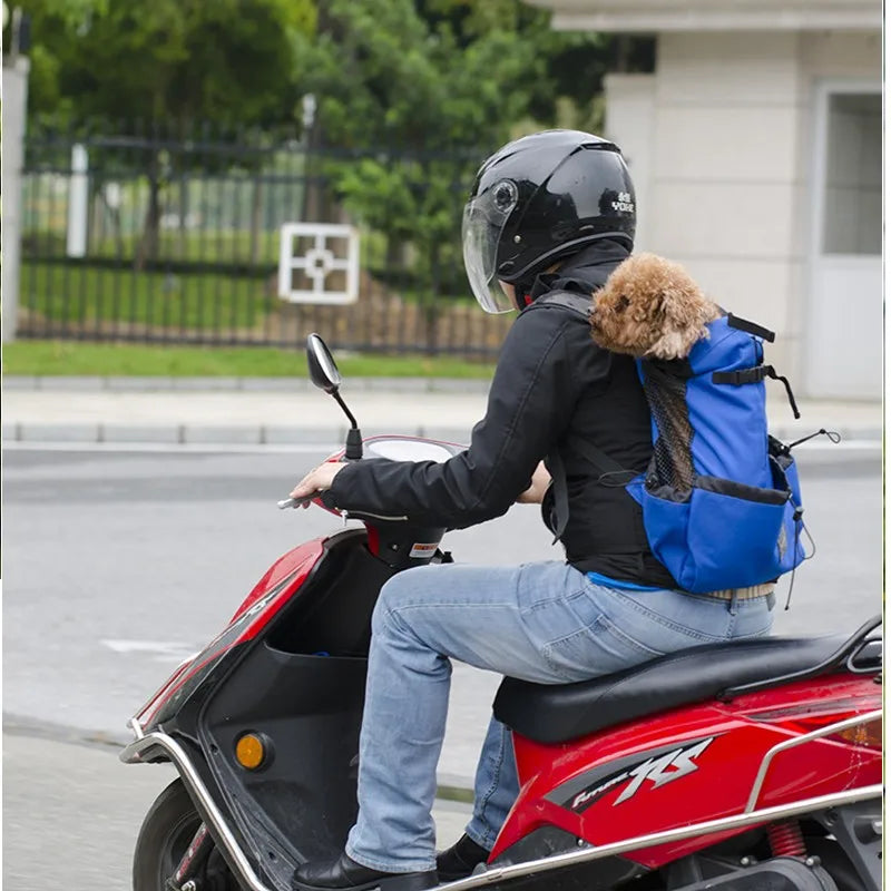 Hiking Pet Dog Carrier Travel Backpack Outdoor Ventilation Outdoor Sport Mesh - Pet carrier - THRIXINE