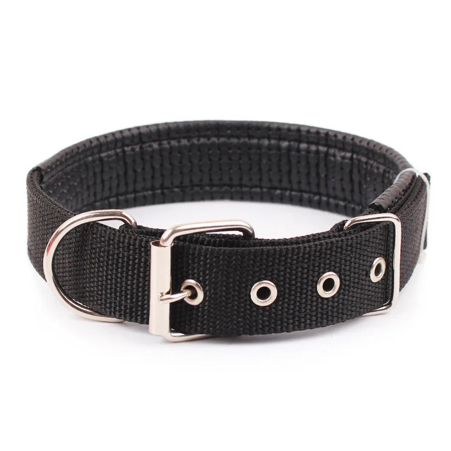Solid Nylon Dog Collar – Strong & Durable for All Dog Sizes - WTN Essentials