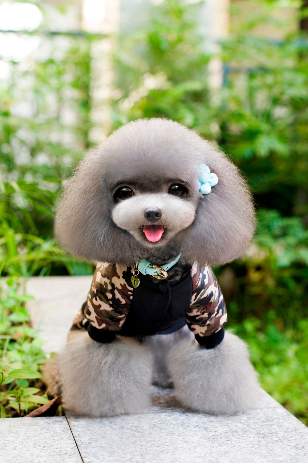 FBI Camouflage Coat |  Jumpsuit Pants - Purrfect Pet Kingdom