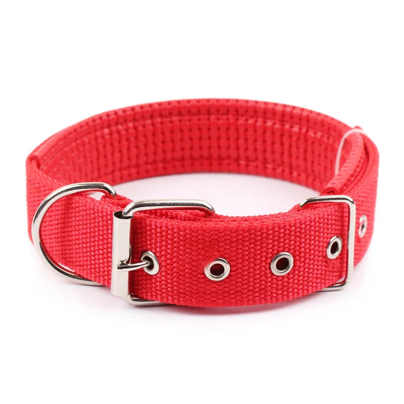 Solid Nylon Dog Collar – Strong & Durable for All Dog Sizes - WTN Essentials