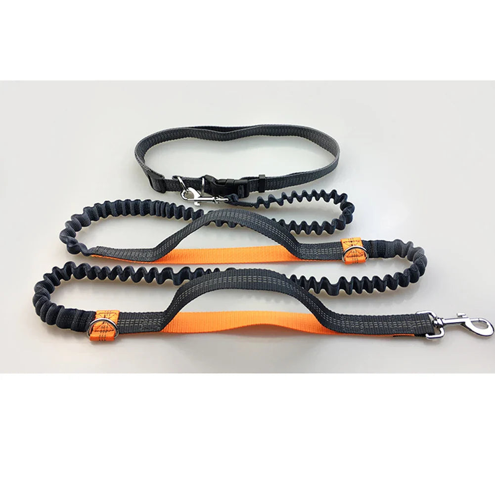 Reflective no-pull pet traction rope with an elastic design for comfortable walking and control