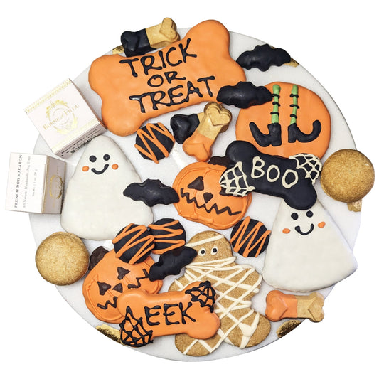 Halloween Themed Dog Treats Gift Box - Purrfect Pet Kingdom