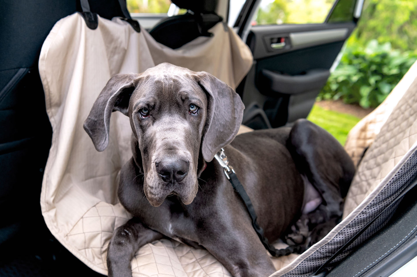 Pet Supply TuffutLuxx Vehicle Protectors for Travel Essentia - main product image for pet supply