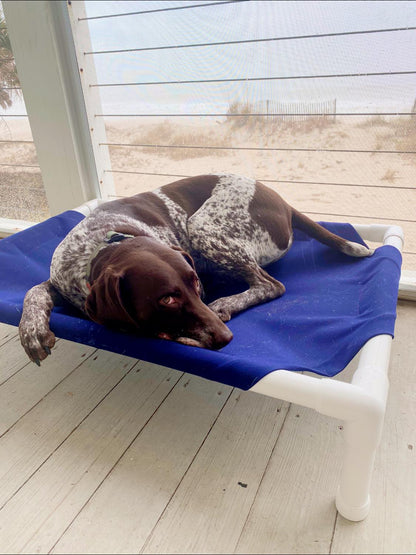 Outdoor Dog Bed Black Sunbrella Fabric 6 Lbs 🛏️