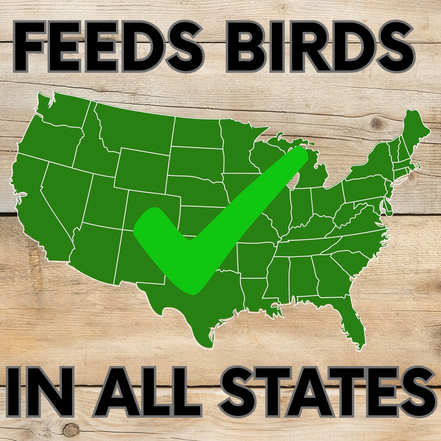 Pollinator & Wild Bird Seed Speedy Blend