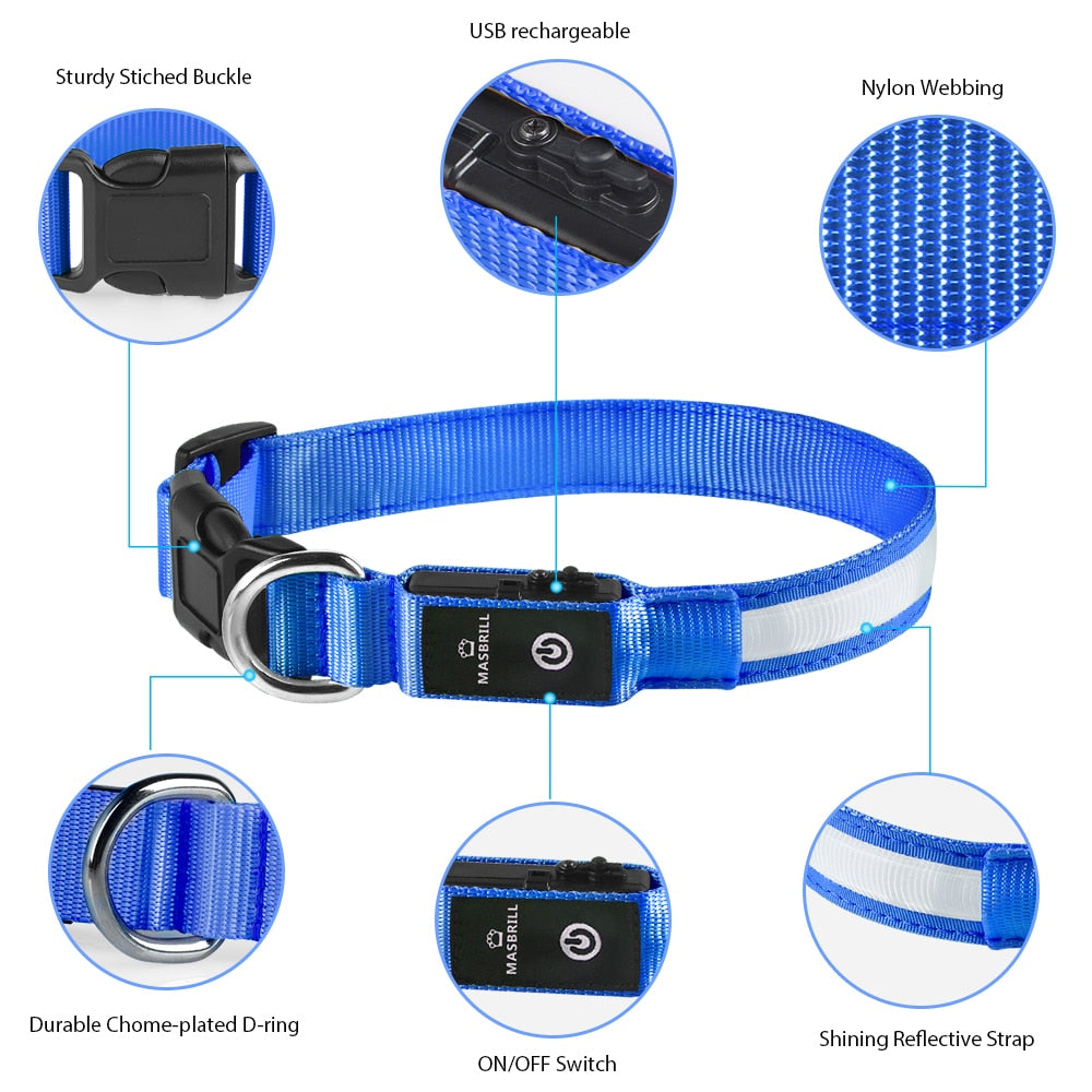 Luminous Dog Collar Waterproof Safety 🌟