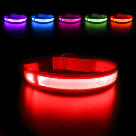 Luminous Dog Collar Waterproof Safety 🌟
