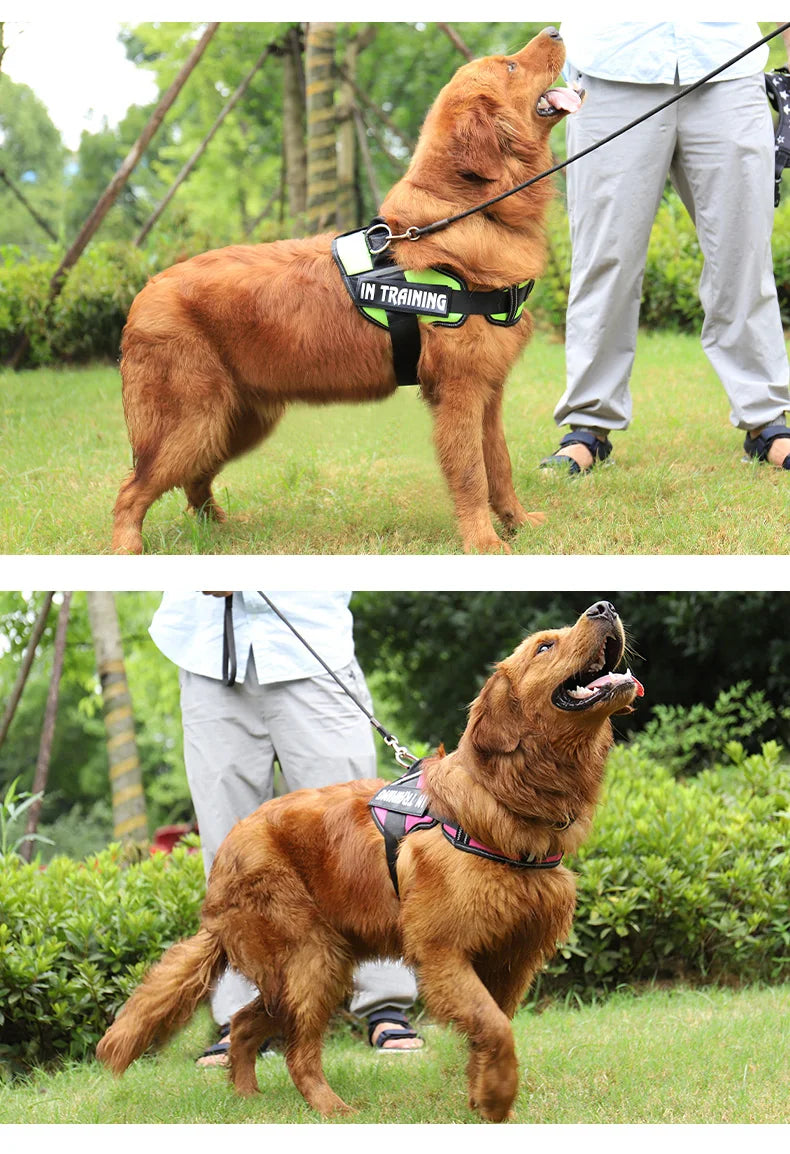 Adjustable Reflective Dog Harness - Purrfect Pet Kingdom