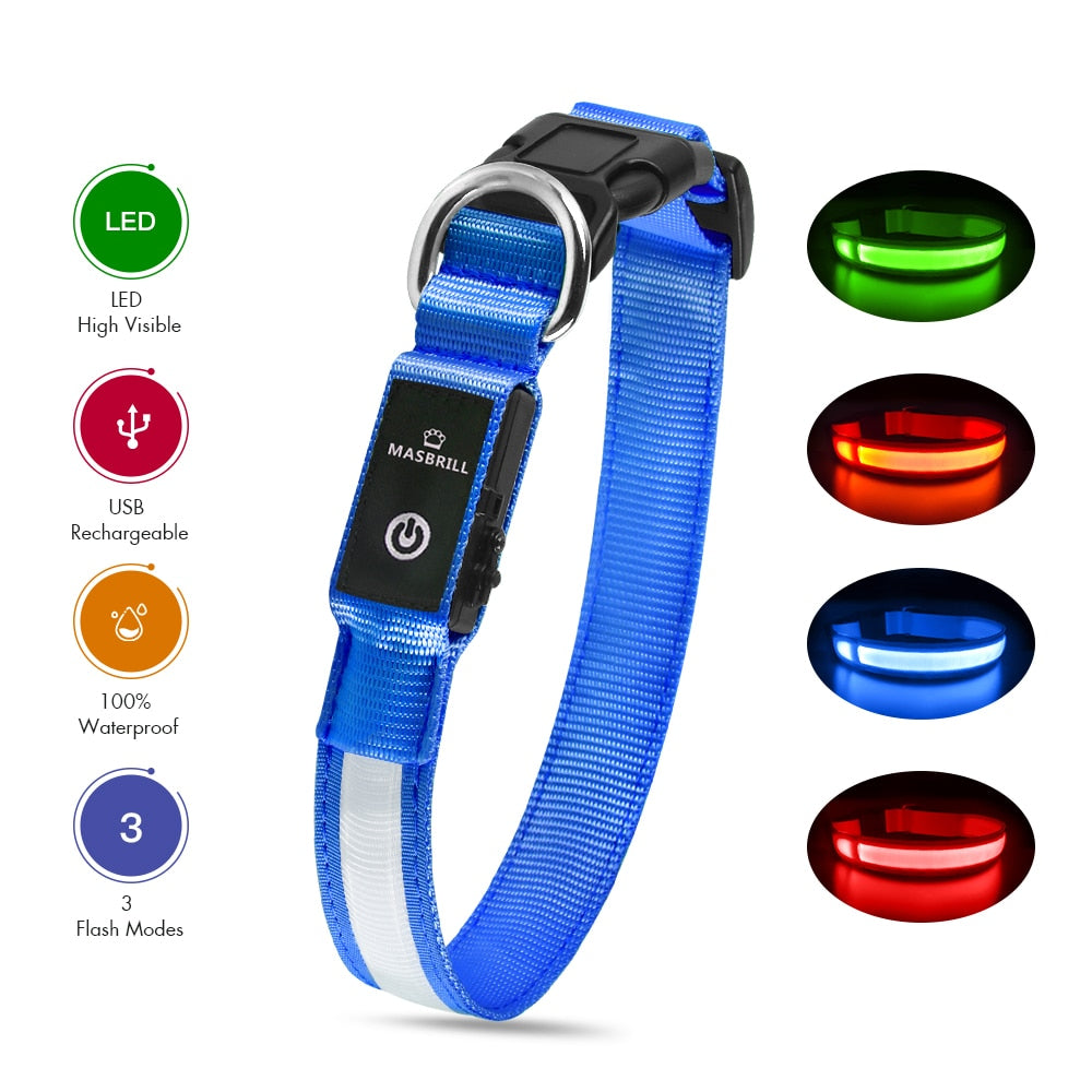 Luminous Dog Collar Waterproof Safety 🌟