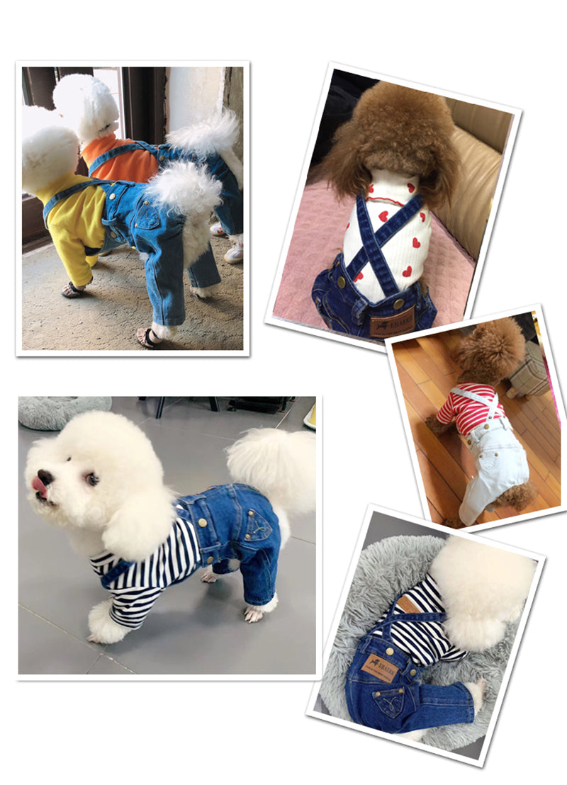 Denim Jumpsuit for Small Pets - Purrfect Pet Kingdom