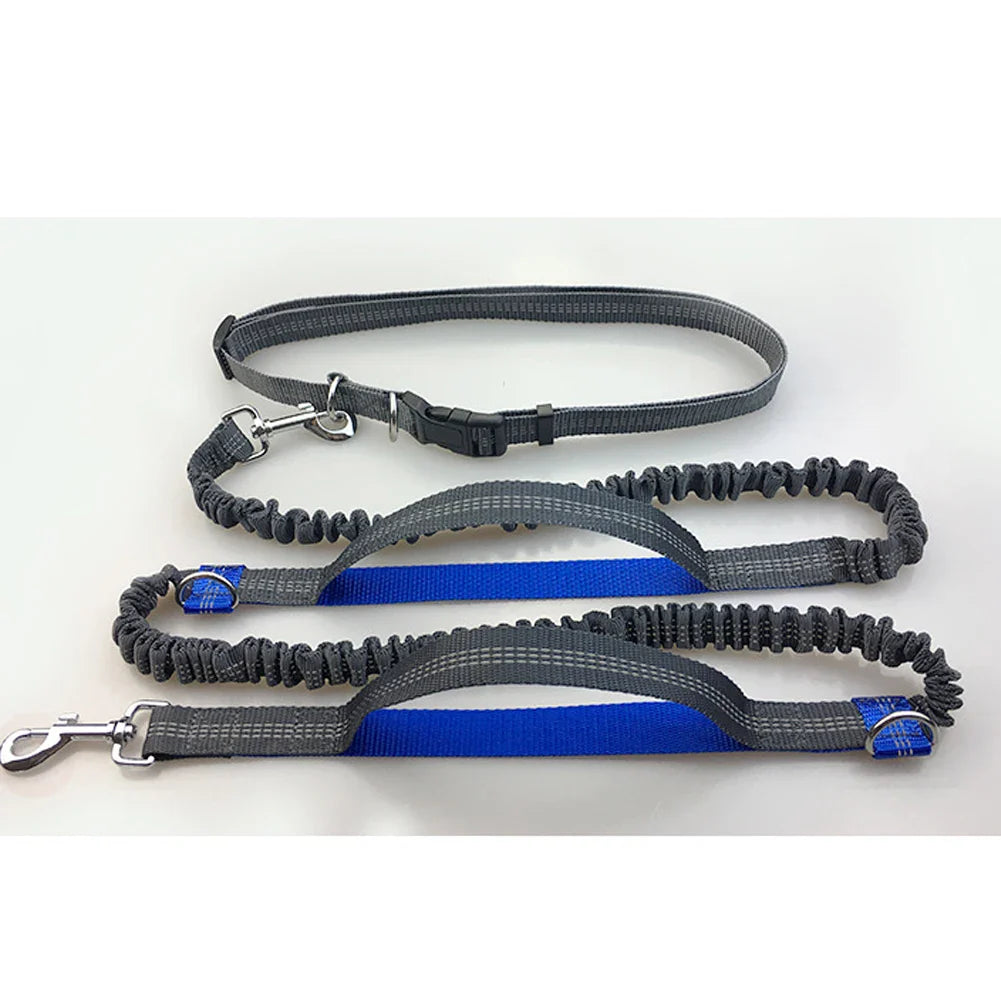 Reflective Dog Leashes from Purrfect Pet Kingdom with no-pull pet traction rope design for better control