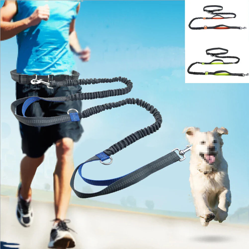 Reflective no-pull pet traction rope for jogging with adjustable belt for controlled walks