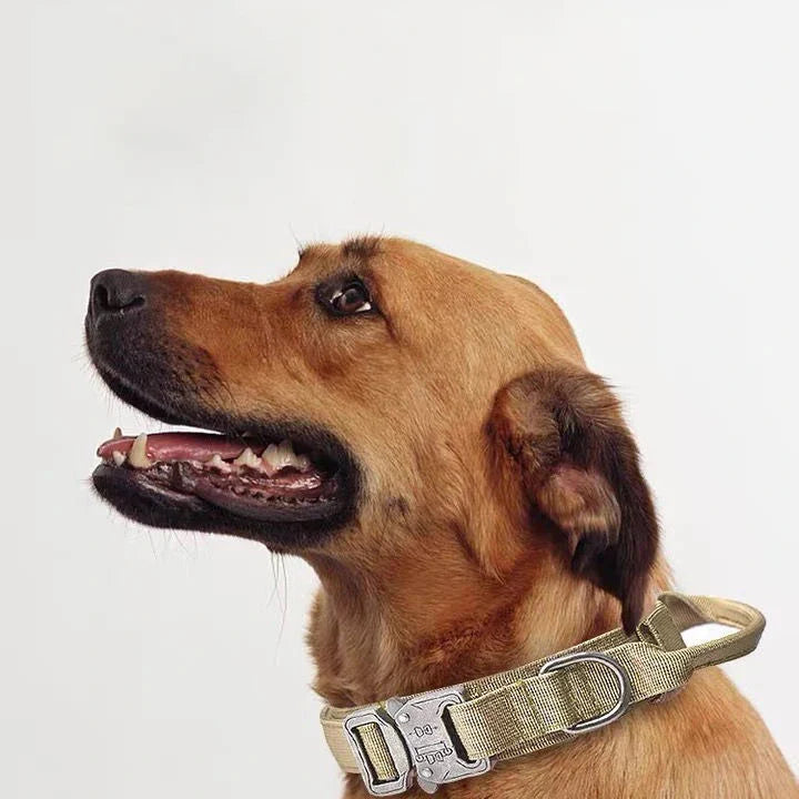 Durable Nylon Dog Collar & Reflective Leash Set – Tactical Training - WTN Essentials