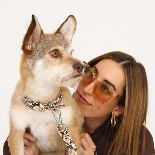 Diamond Howl Collar Charm Set 🐾 - Purrfect Pet Kingdom