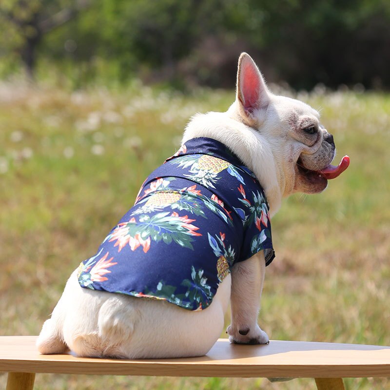 Hawaiian Pet Shirts - Purrfect Pet Kingdom