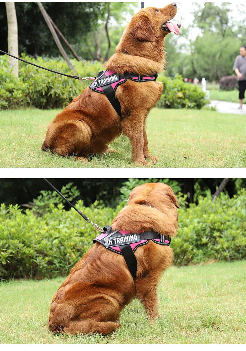 Adjustable Reflective Dog Harness - Purrfect Pet Kingdom