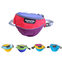 Adventure Hip Pack