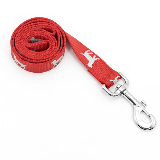 Reflective Hound Series Nylon Dog Leash Adjustable