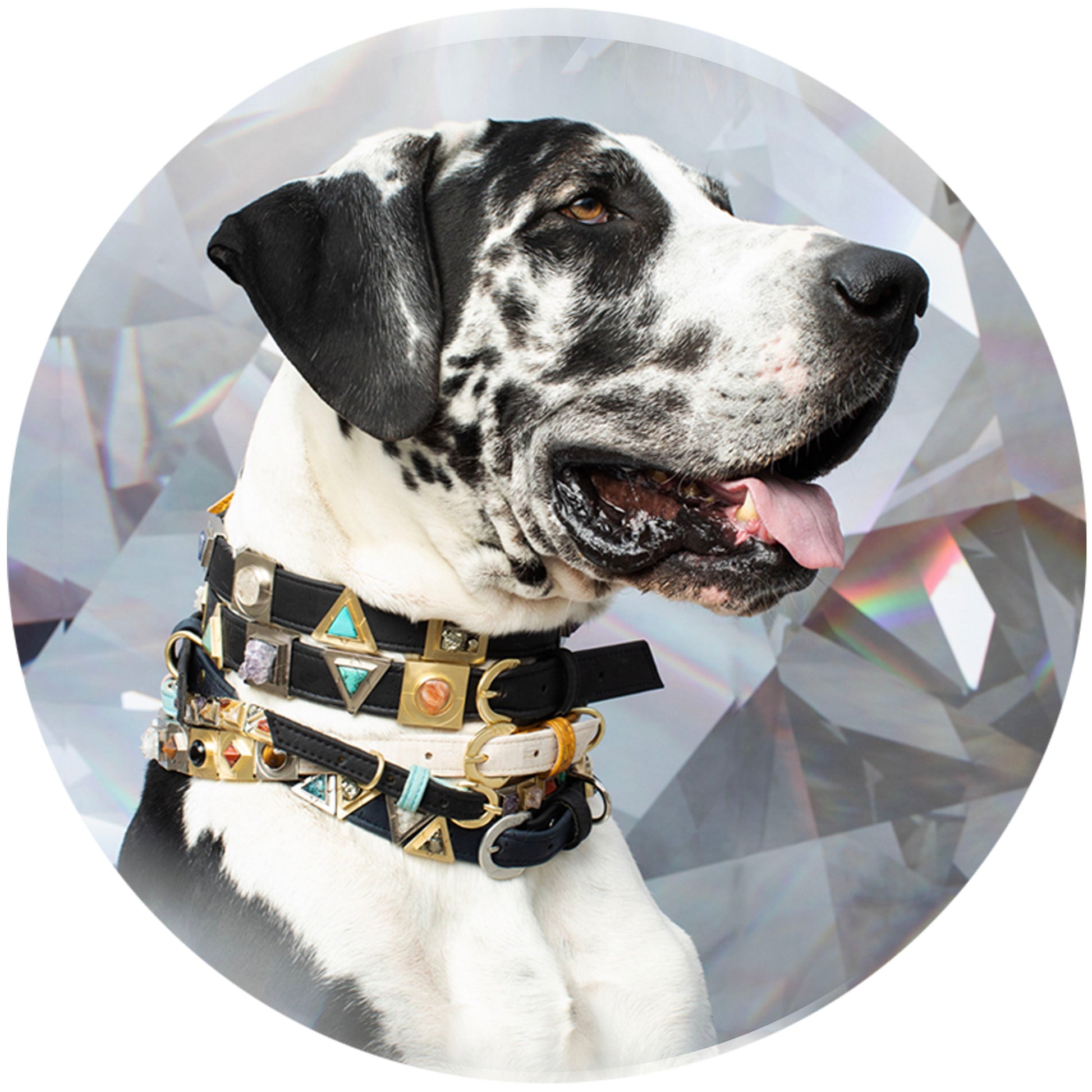 Diamond Cork Leather Collar - Purrfect Pet Kingdom