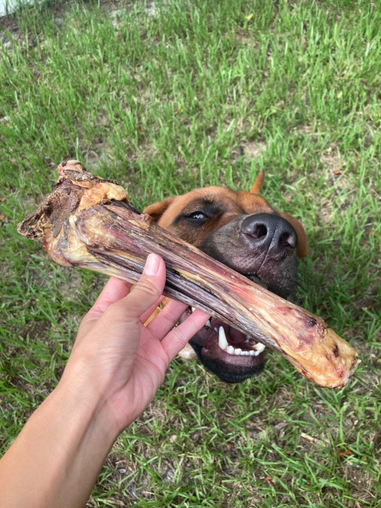 Lamb Shank (GFF & Pasture Raised) | Purrfect Pet Kingdom