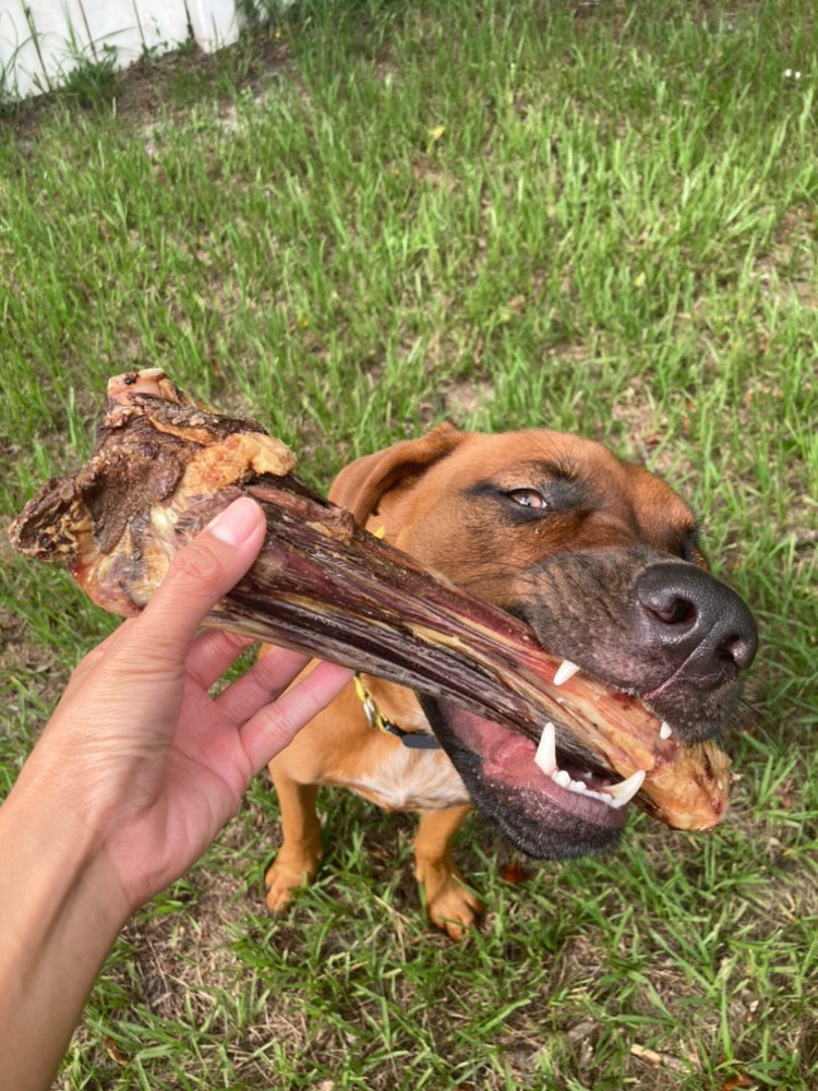 Lamb Shank (GFF & Pasture Raised) | Purrfect Pet Kingdom