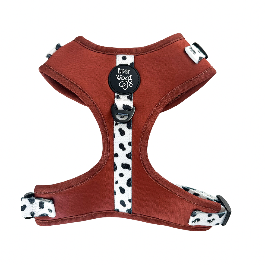 Pet Harness Spotted Ember Adjustable Harness for Daily Use - main product image for pet harness