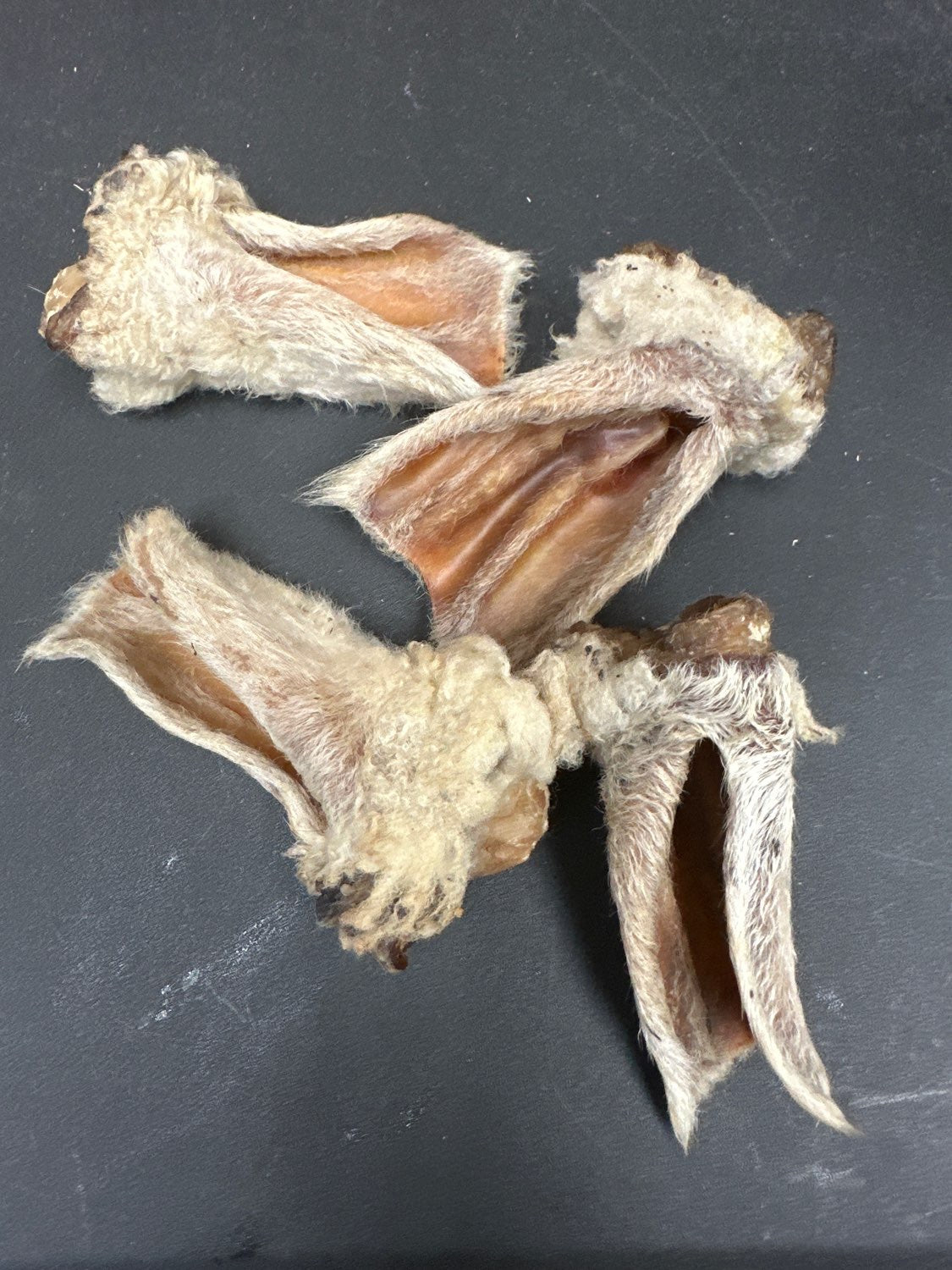Lamb Ears (Furry & Non Fur) | Purrfect Pet Kingdom