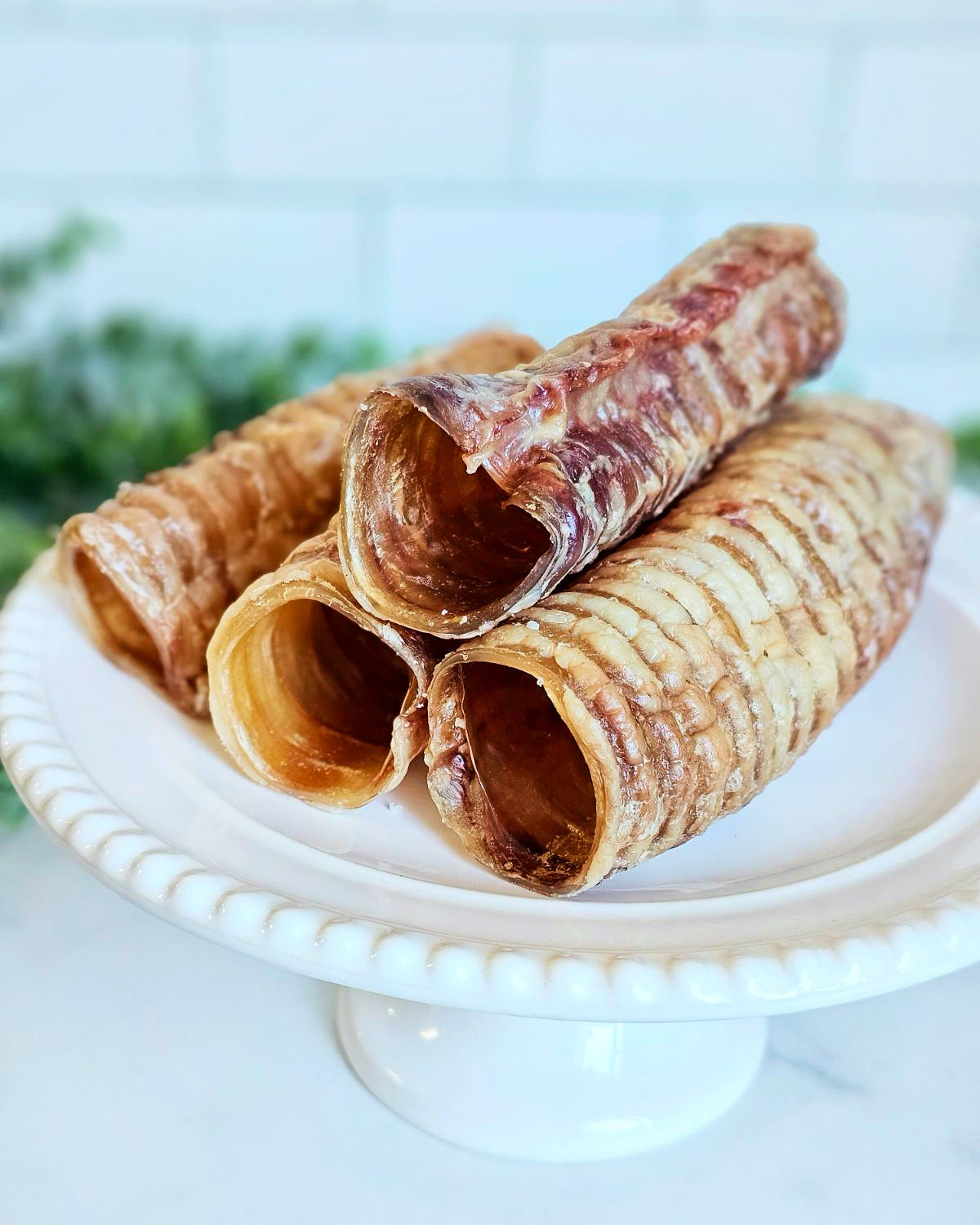 Beef Trachea (Grass Fed & Finished) | Purrfect Pet Kingdom