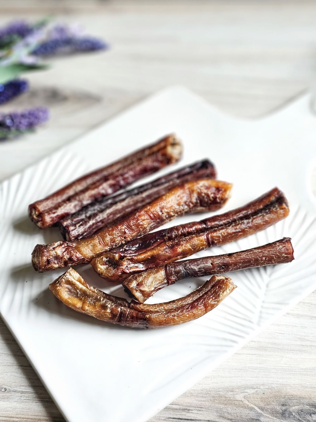 Beef Pizzle (Sticks, Loops, Short) - Limited Edition | Purrfect