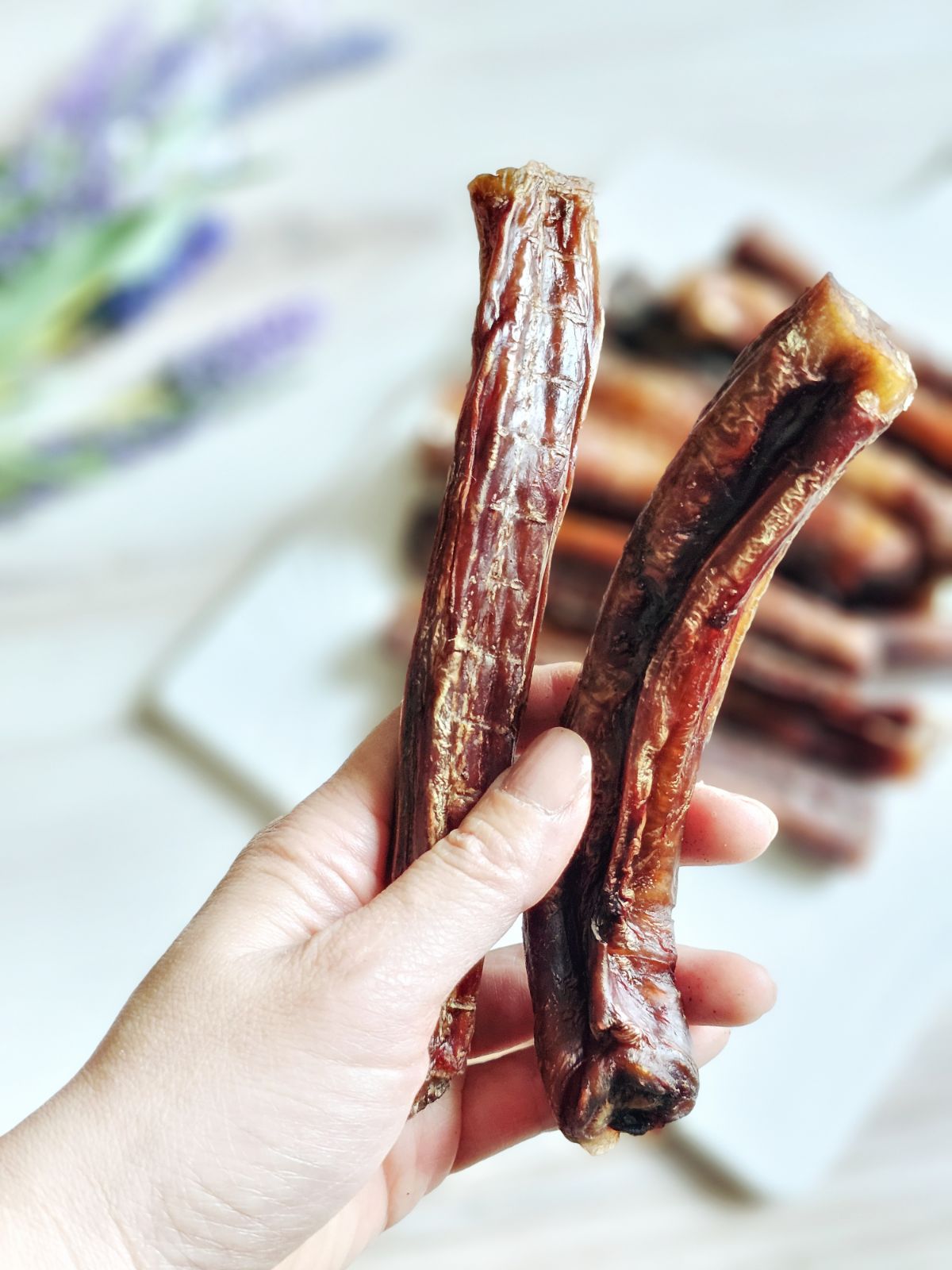 Beef Pizzle (Sticks, Loops, Short) - Limited Edition | Purrfect