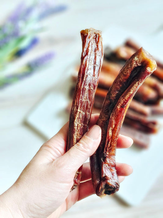 Beef Pizzle (Sticks, Loops, Short) - Limited Edition | Purrfect