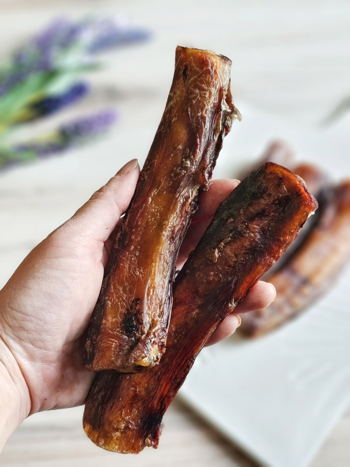 Beef Pizzle (Sticks, Loops, Short) - Limited Edition | Purrfect