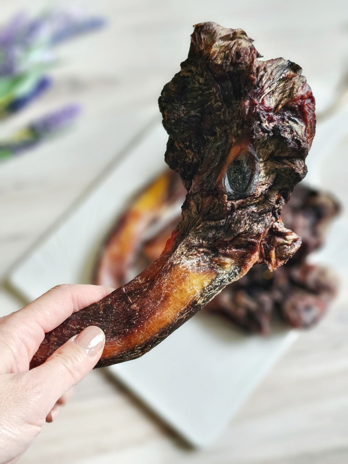 Beef Pizzle (Sticks, Loops, Short) - Limited Edition | Purrfect