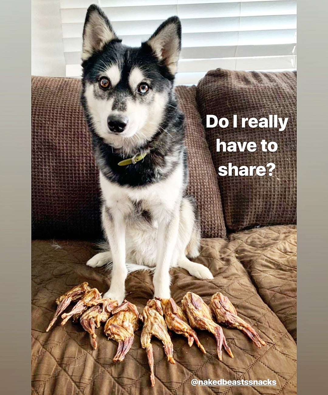 Whole Quails (Bone-In) | Purrfect Pet Kingdom