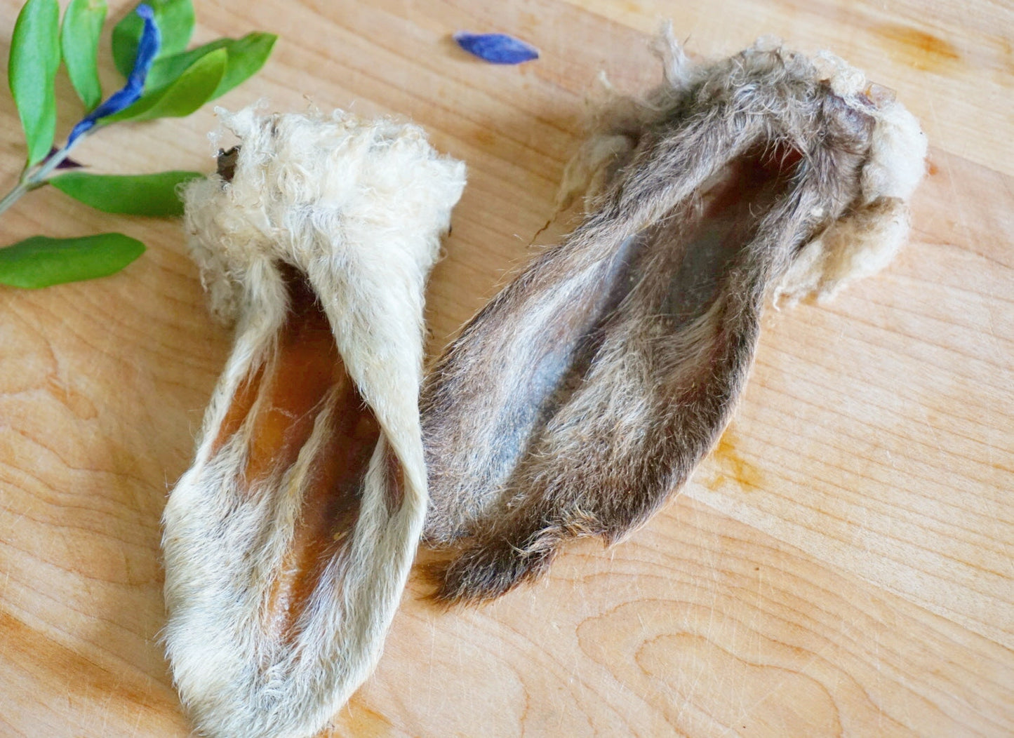 Lamb Ears (Furry & Non Fur) | Purrfect Pet Kingdom