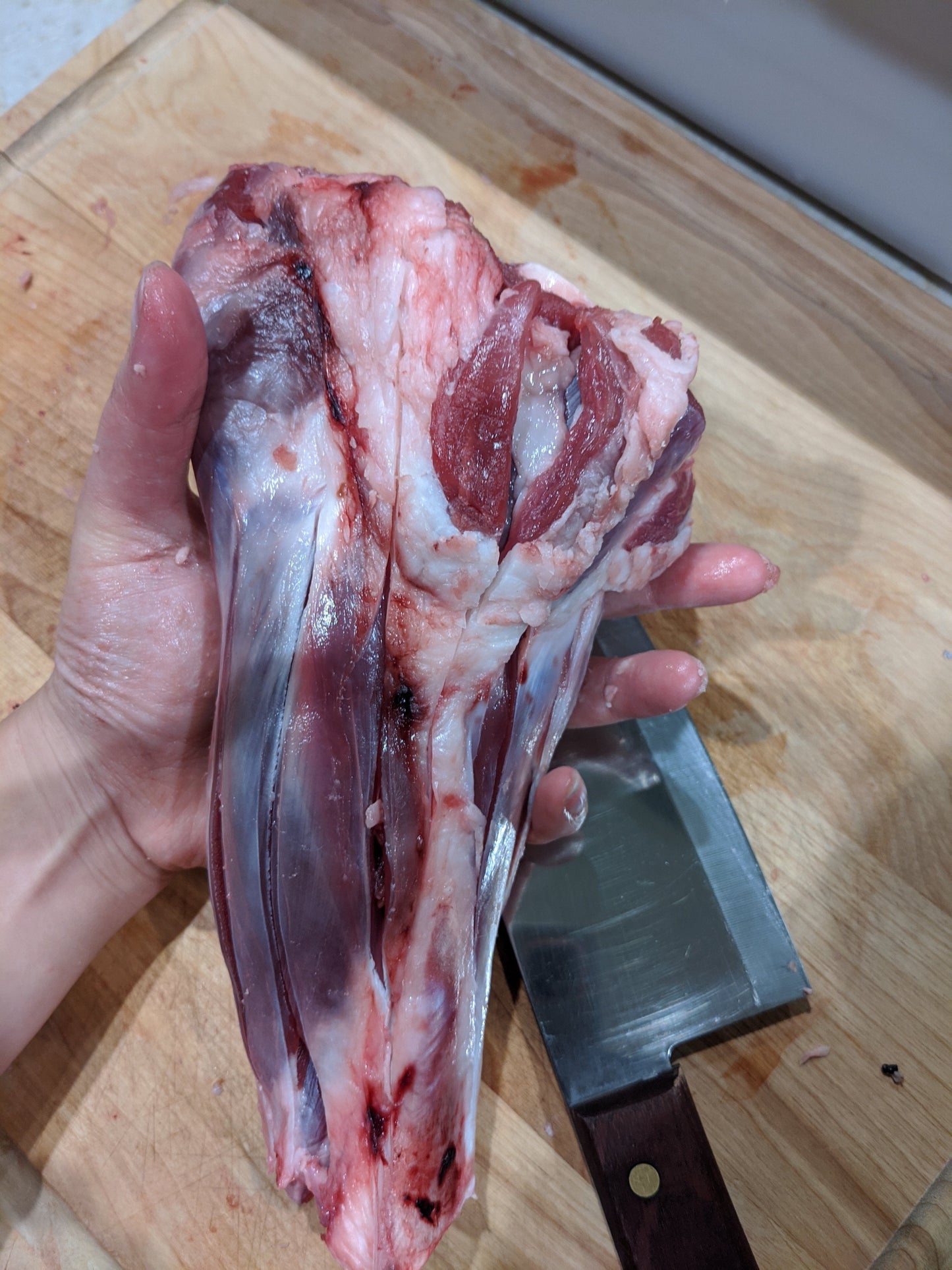 Lamb Shank (GFF & Pasture Raised) | Purrfect Pet Kingdom