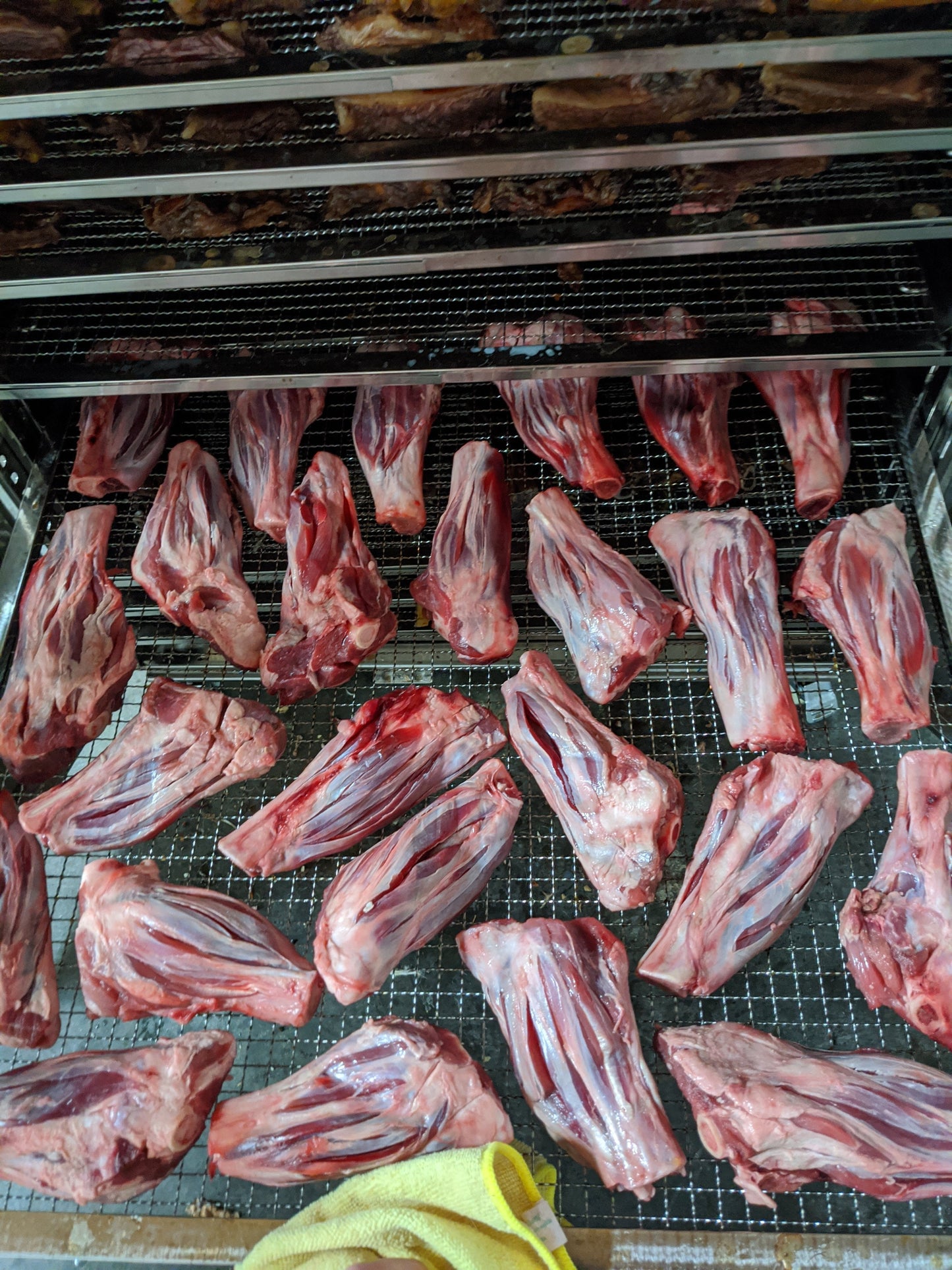 Lamb Shank (GFF & Pasture Raised) | Purrfect Pet Kingdom