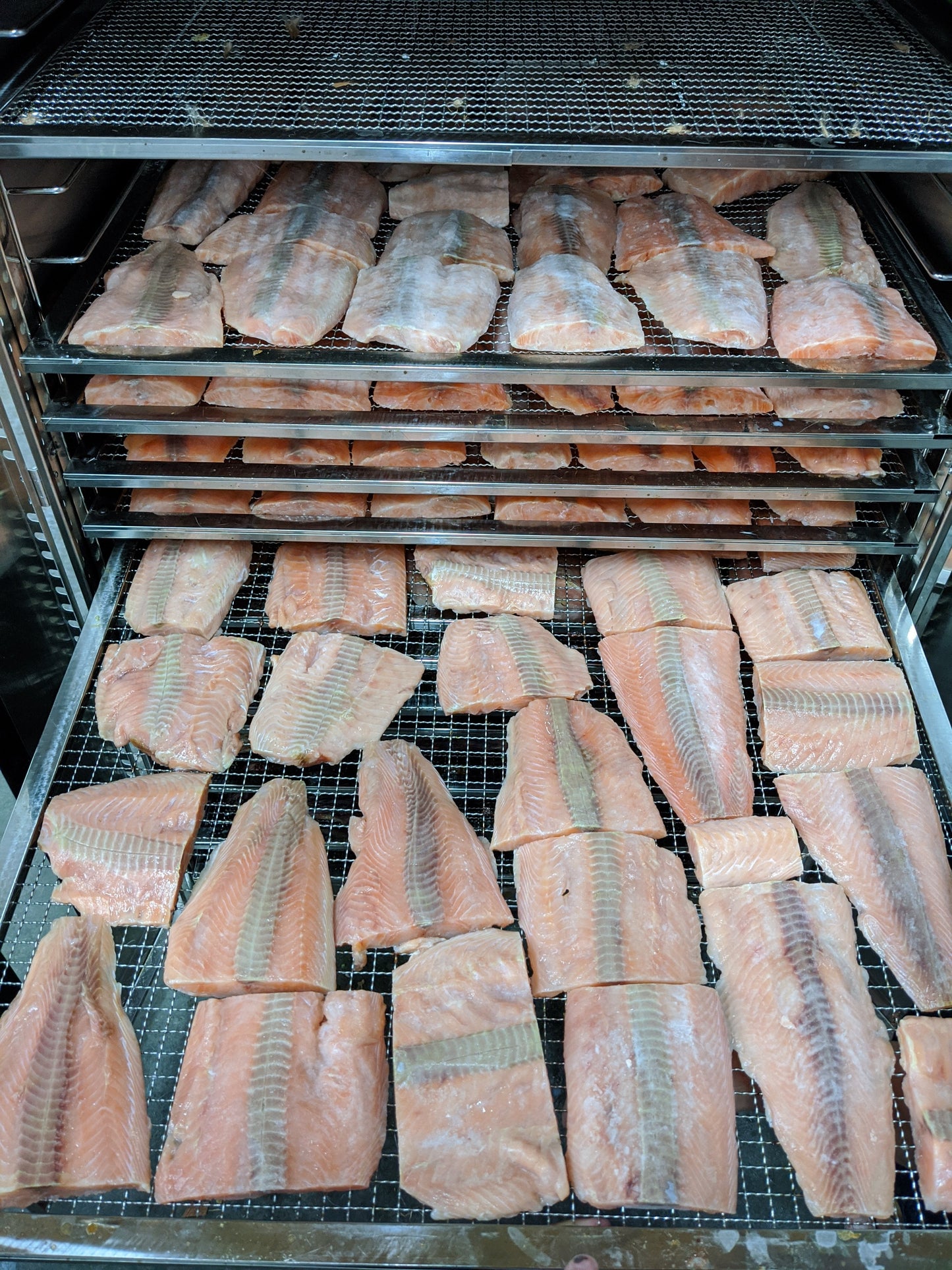 Salmon Fillet