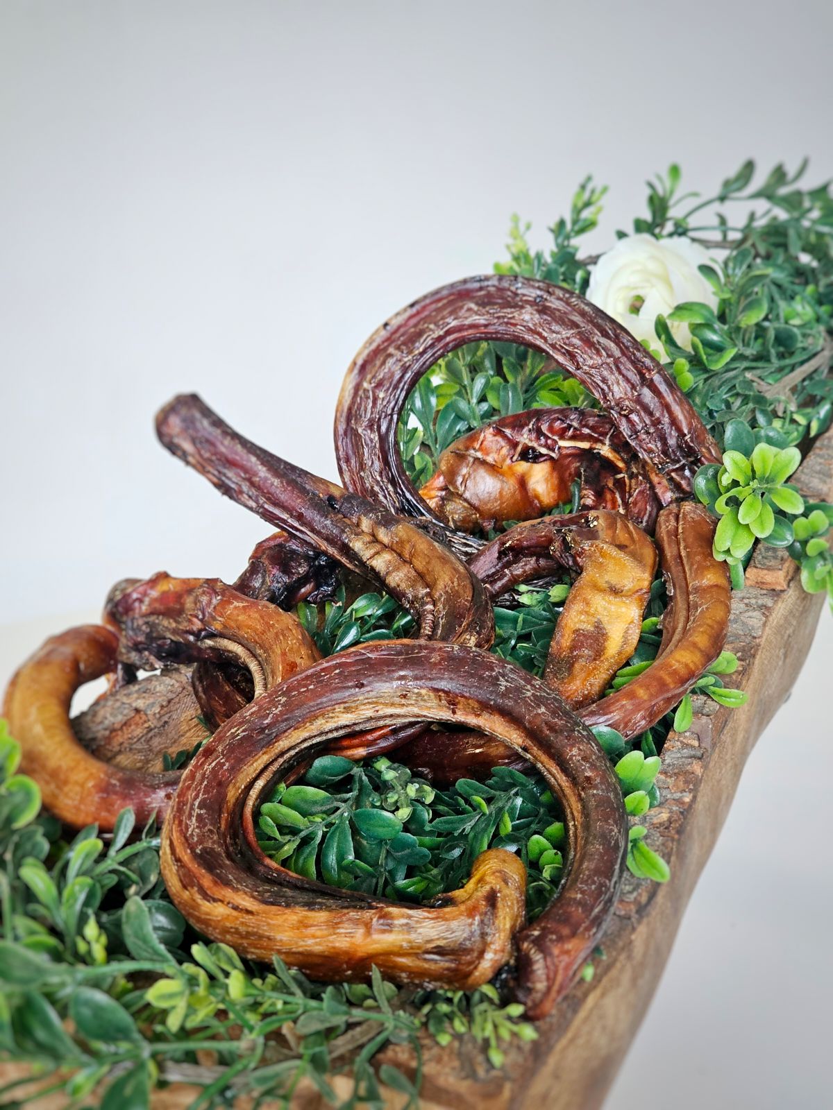 Beef Pizzle (Sticks, Loops, Short) - Limited Edition | Purrfect